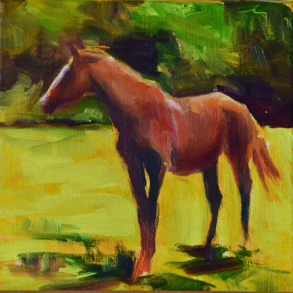 Pferd auf der Weide / Antje Clara Bücker