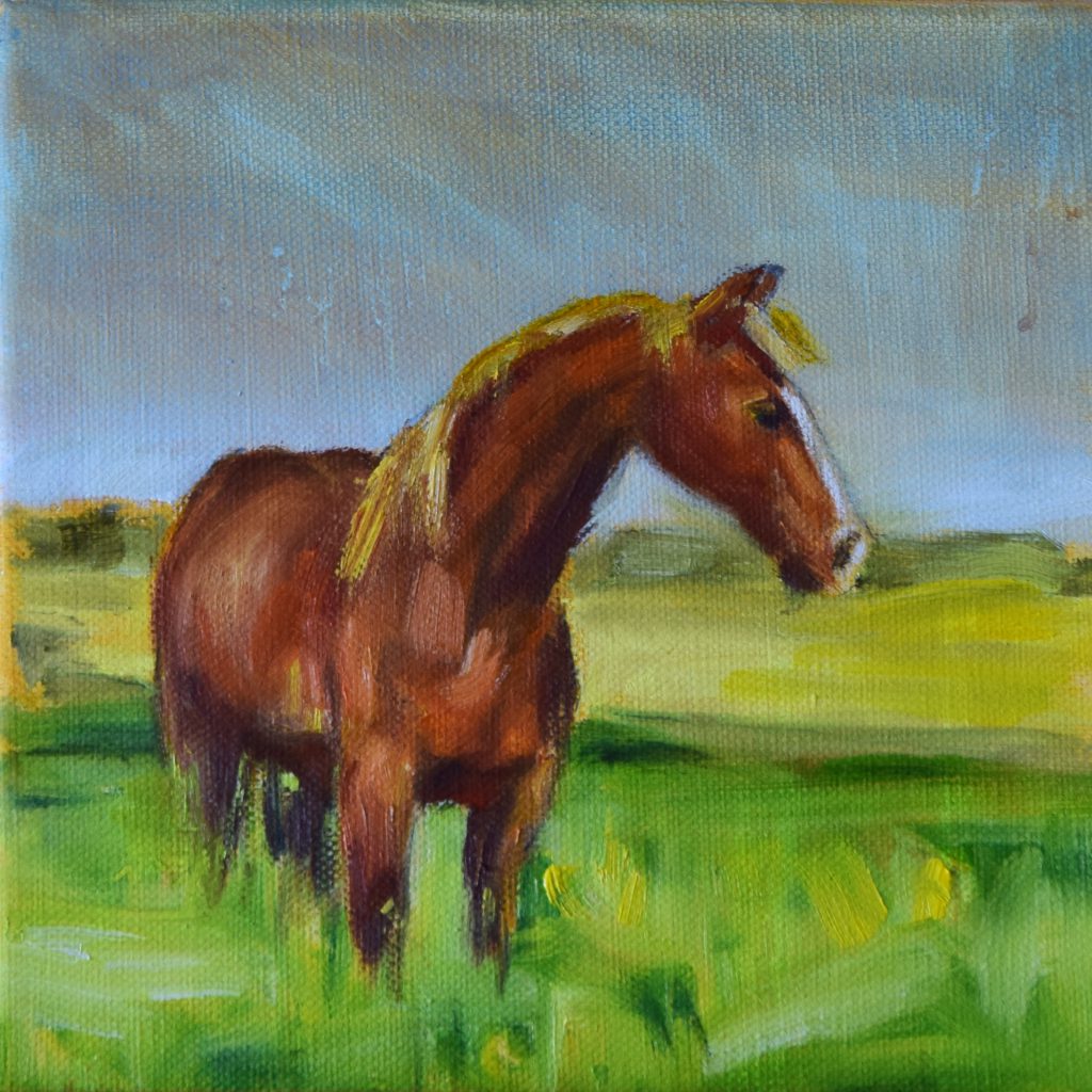 Pferd auf der Weide / Antje Clara Bücker