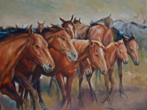 Mustangs / Antje Clara Bücker