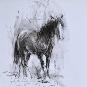 Pferd auf der Weide / Antje Clara Bücker