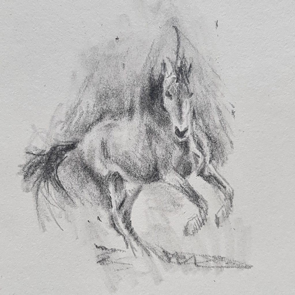 Pferd auf der Weide / Antje Clara Bücker