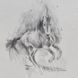 Pferd auf der Weide / Antje Clara Bücker