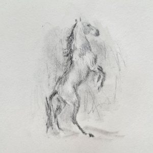 Steigendes Pferd / Graphit auf Karton /  DinA6 gerahmt / 2025 / 100 €