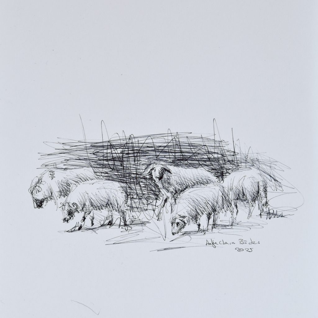 Flock of sheep / Study / Antje Clara Bücker